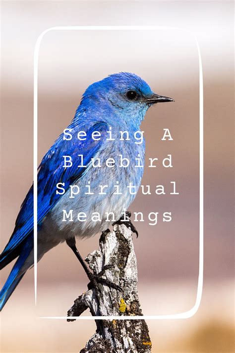 The Symbolic Significance of Bluebirds in Dreams