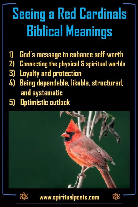 The Symbolic Significance of Cardinals in Dreams