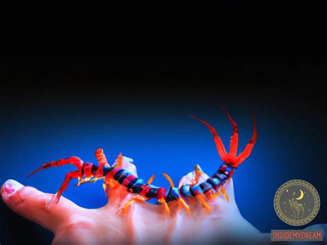 The Symbolic Significance of Centipede Bites in Dreams