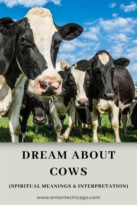 The Symbolic Significance of Cows in Dream Interpretation