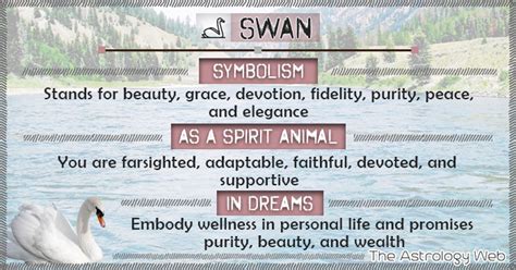 The Symbolic Significance of Dreams Involving Swan Pursuit