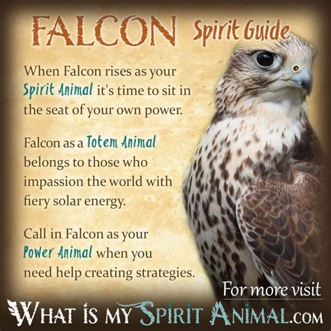 The Symbolic Significance of Dreams Involving a Falcon's Predatory Encounter