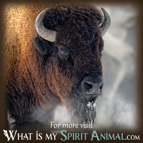 The Symbolic Significance of Dreams With a Dark Buffalo