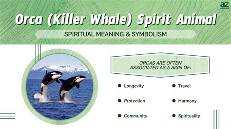 The Symbolic Significance of Orca in Dreamscapes