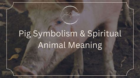 The Symbolic Significance of Slaying a Swine in Oneiric Realm