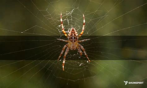 The Symbolic Significance of Spider's Reproduction in Dream Interpretation