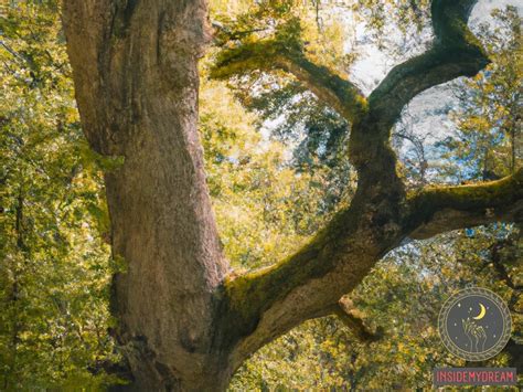 The Symbolic Significance of Trees in Dream Interpretation