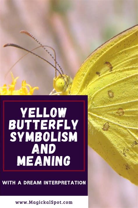 The Symbolic Significance of Yellow Butterflies in Dreams