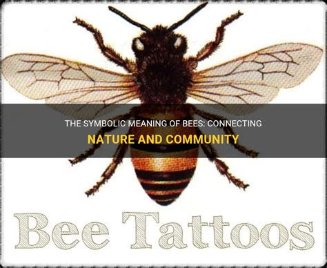 The Symbolic Significance of a Bee Resting on Your Body