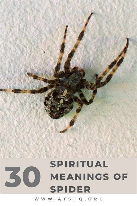 The Symbolic Significance of a Spider's Inoculation: Empowering Metamorphosis