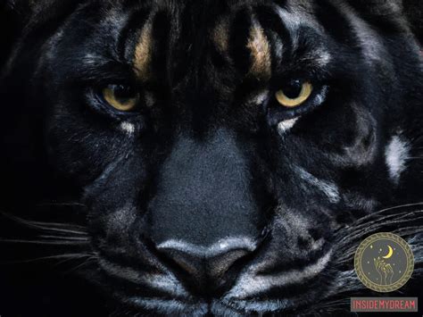 The Symbolic Significance of the Black Tiger in Dreams: A Representation of Power or Peril?