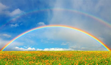 The Symbolic and Spiritual Interpretations of Ring-shaped Rainbows