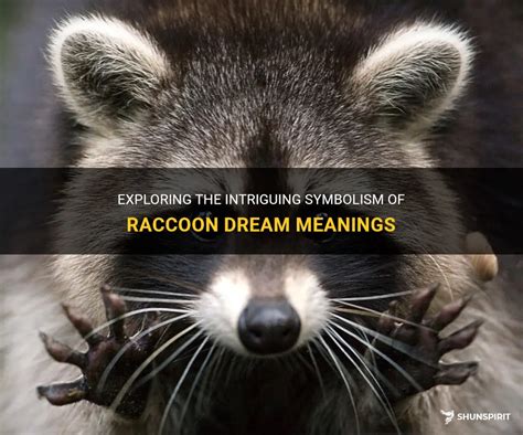 The Symbolism Behind Raccoons in Dreams