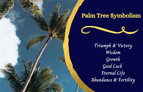 The Symbolism and Meaning of the Majestic Palm Nut Tree