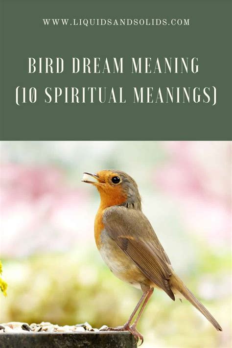 The Symbolism of Birds in Dream Interpretation