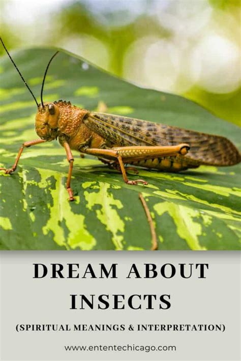 The Symbolism of Bugs in Dreams