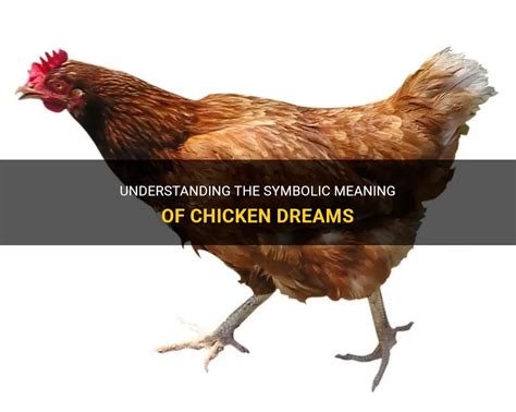 The Symbolism of Chickens in Dreams