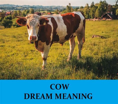 The Symbolism of Cows in Dream Interpretation