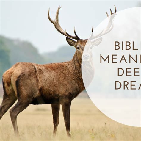 The Symbolism of Deer in Dreams