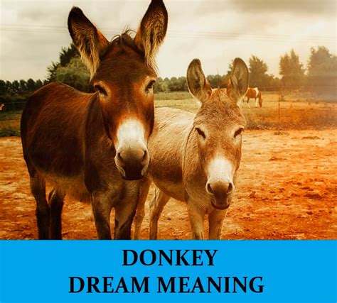 The Symbolism of Donkeys in Dreams