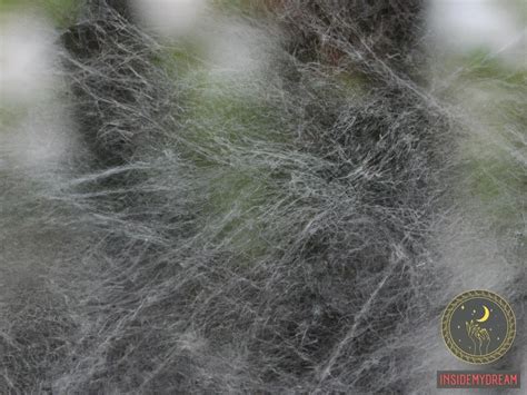 The Symbolism of Dreams: Exploring the Meaning behind Spider Infestations