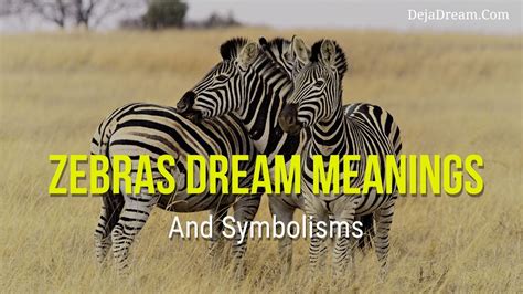 The Symbolism of Dreams Involving a Zebra Pursuit