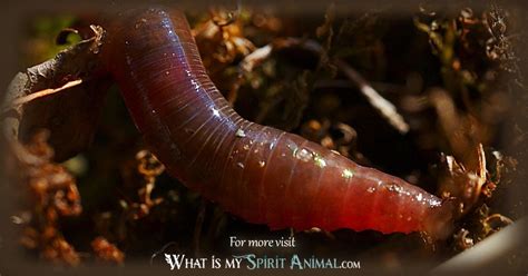 The Symbolism of Earthworms