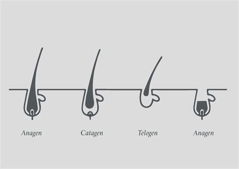 The Symbolism of Hair Growth