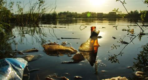 The Symbolism of Nature: Investigating the Consequences of Polluted Rivers in Dreams