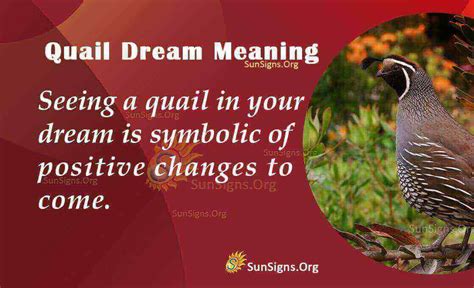 The Symbolism of Quail in Dreams: Unveiling the Message