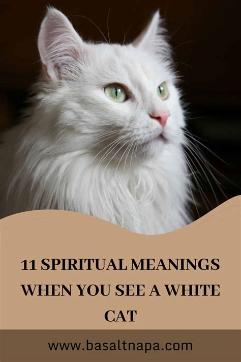 The Symbolism of a White Cat in Dreams