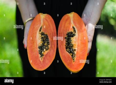 The Temptation of Juicy Papaya: A Tropical Sensation