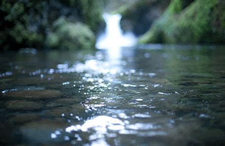 The Timeless Allure of Rivers: Revealing their Tranquility