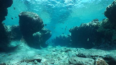 The Transcendent Beauty of Exquisite Ocean Floor Landscapes