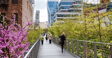 The Transformative Influence of Green Spaces