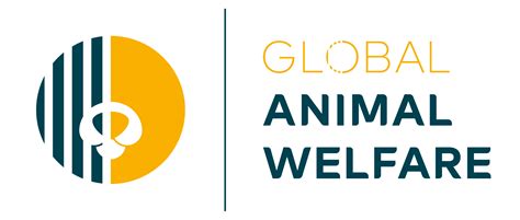 The Transformative Potential: Empowering Individuals to Take Action for Animal Welfare