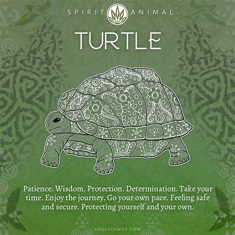 The Turtle's Shell: A Symbol of Protection and Resilience