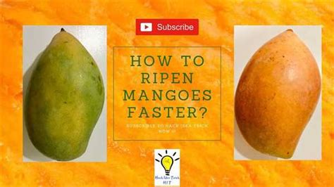 The Ultimate Guide to Purchasing Ripe and Flavorful Mangoes