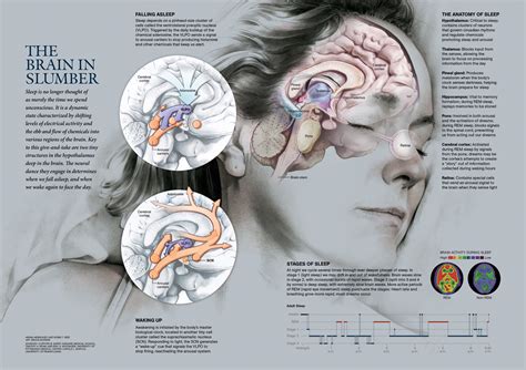 The Unconscious Retaliation: Exploring the Mind's Quest for Retribution During Slumber