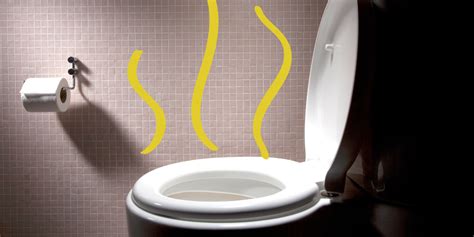 The Unpleasant Odor: What Triggers Dreams of a Malodorous Restroom?