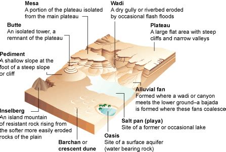 The Vanished Oasis: Deciphering the Puzzle of Disappearing Aquatic Landforms