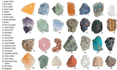 The Varied Array of Rocks Ingested: From Digestible Minerals to Precious Gemstones