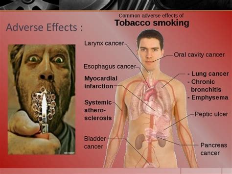 The Various Interpretations Behind Dreams of Consuming Tobacco