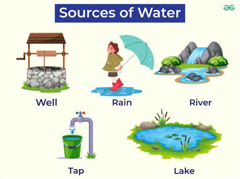 The Various Sources of Water and Their Health Benefits