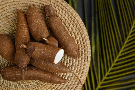 The Versatile Cassava Tuber: Exploring its Advantages