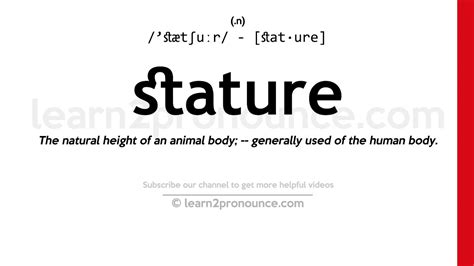 The Vertically Defined Stature