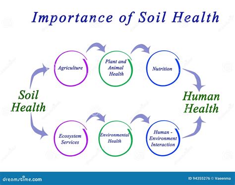 The Vital Importance of Soil Health