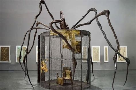 The Weaving Spider: A Metaphor for Creativity