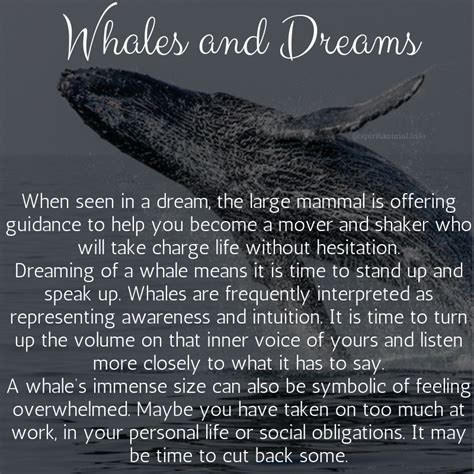 The Whale's Connection to Emotions and Spirituality