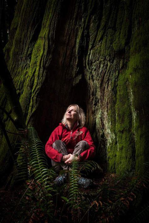 The Whispering Canopy: Nurturing the Unseen Flows